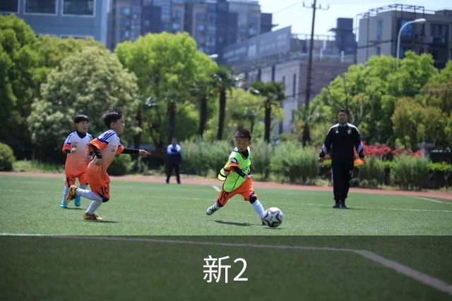 新2 公司简介